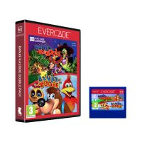 Evercade Banjo-Kazooie Double Pack (5)